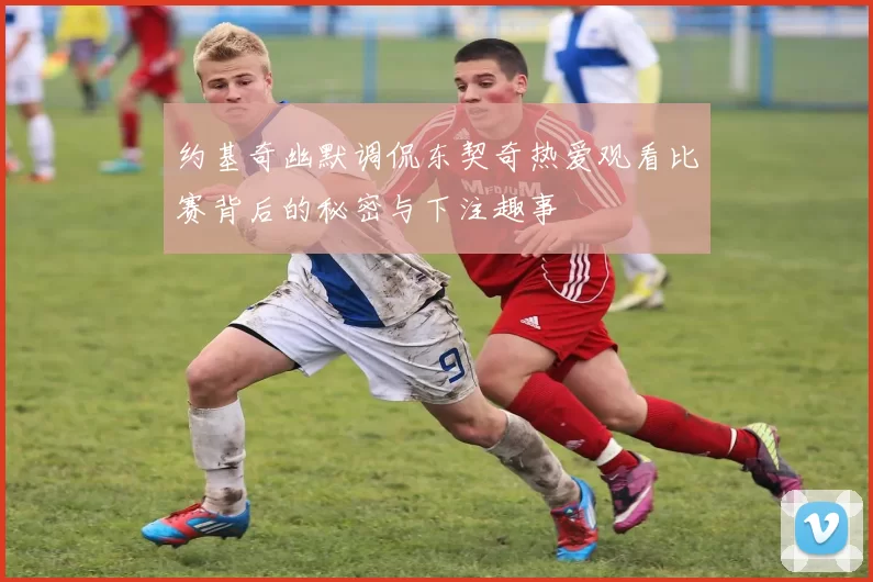 约基奇幽默调侃东契奇热爱观看比赛背后的秘密与下注趣事
